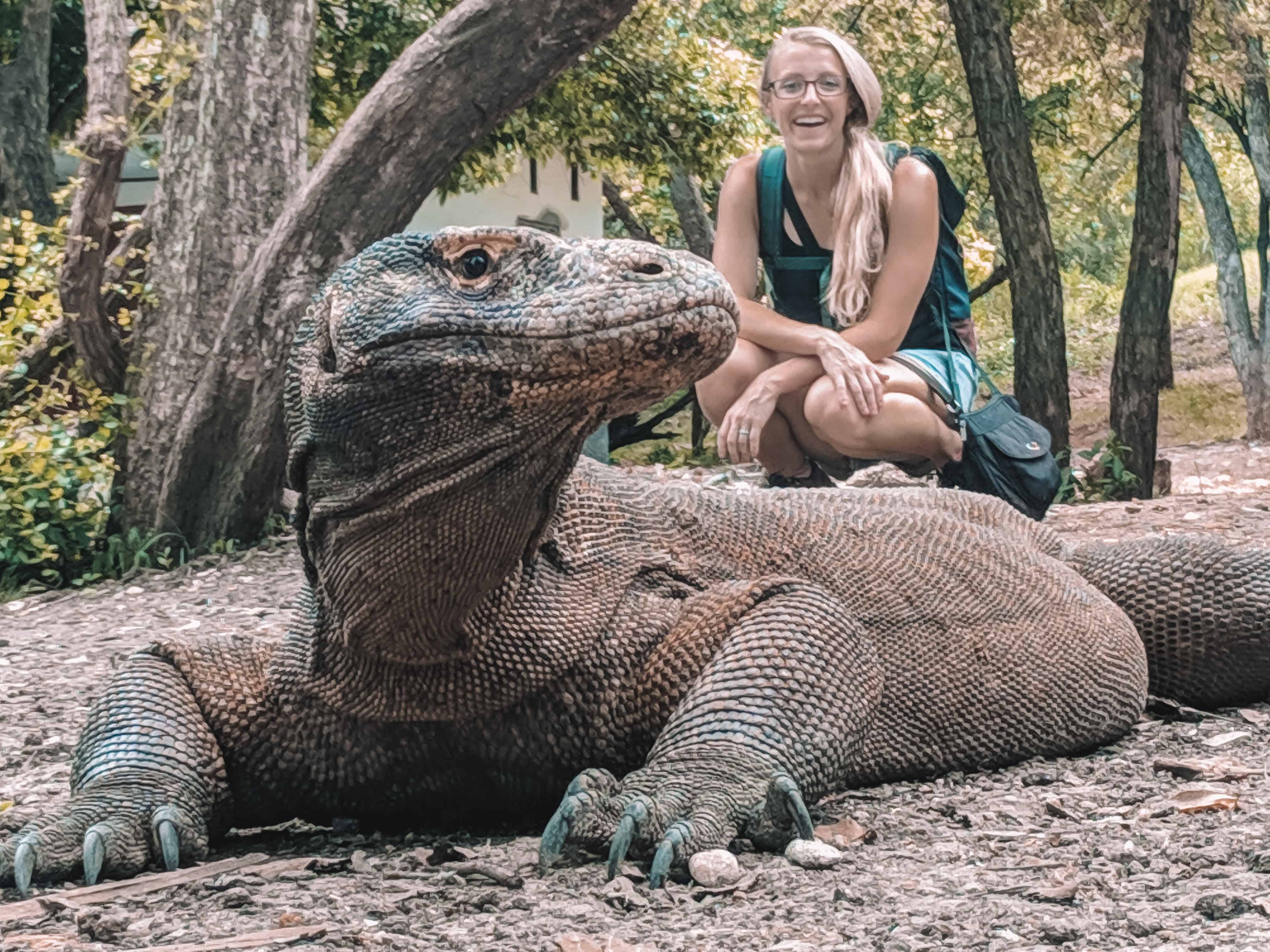 Visiting Rinca Island - Komodo Dragons