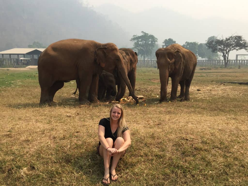 Don't Ride the Elephants while visiting Thailand