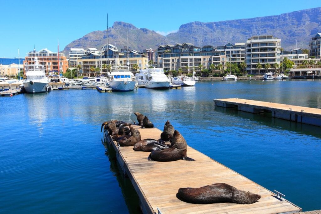 Although not outrageously expensive, Cape Town offers a great vibe and natural scenery you could drool over!