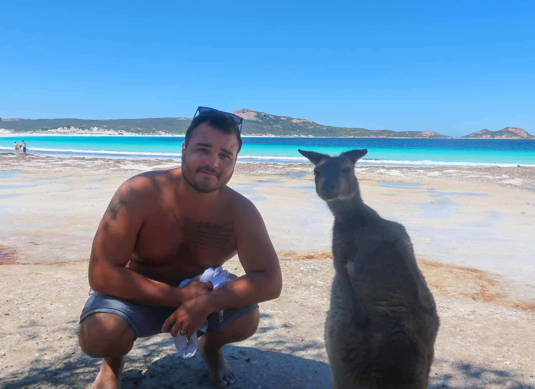 Lucky Bay, Australia Kangaroos