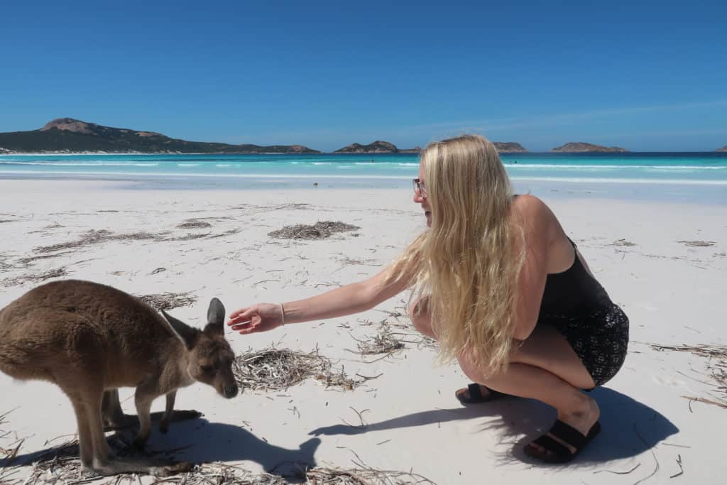 Playing with the wild kangaroos in Lucky Bay, Australia