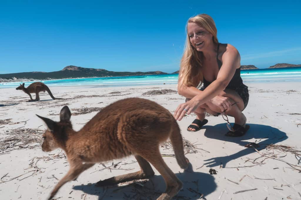 Playing with the baby kangaroos on Lucky Bay beach