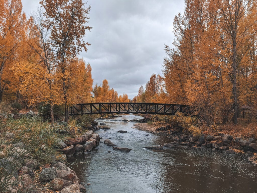 A view of the Yampa River in Steamboat Springs during the fall.