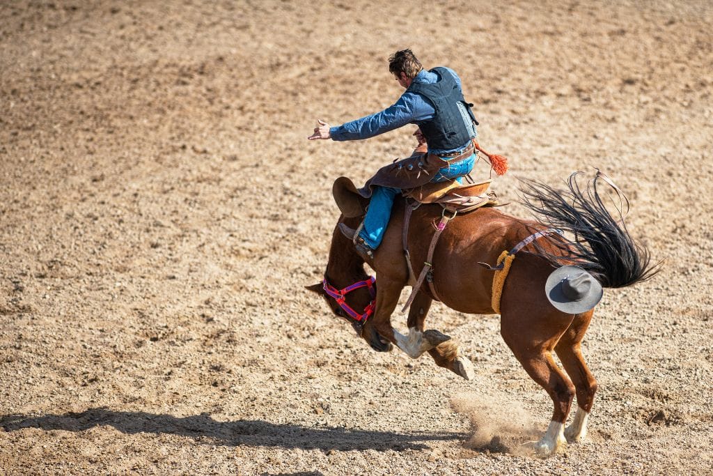 A picture of a man riding a stallion at the Steamboat Rodeo.